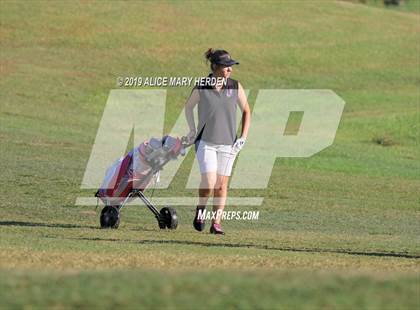Thumbnail 1 in FHSAA 2A District Playoffs (EDITORIAL ONLY) photogallery.