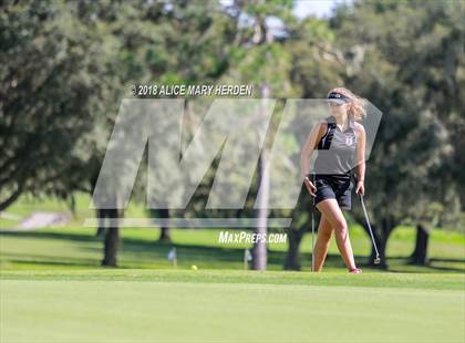Thumbnail 3 in Hernando vs Springstead vs Citrus photogallery.