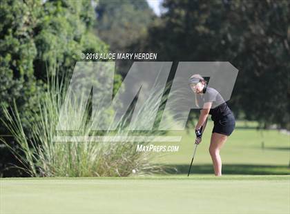 Thumbnail 1 in Hernando vs Springstead vs Citrus photogallery.