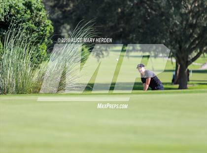 Thumbnail 1 in Hernando vs Springstead vs Citrus photogallery.