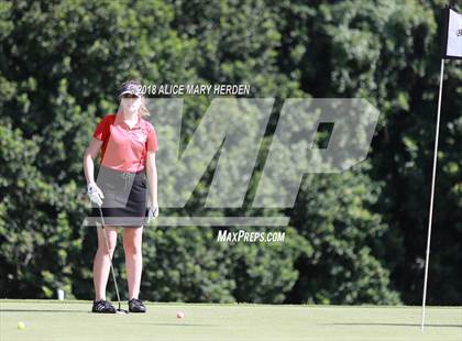 Thumbnail 3 in Hernando vs Springstead vs Citrus photogallery.