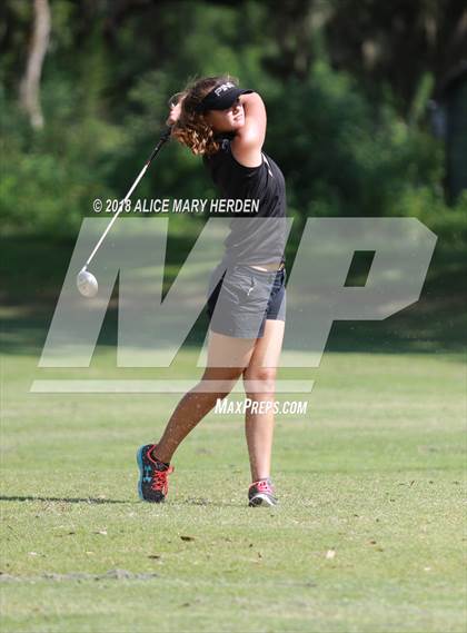 Thumbnail 1 in Hernando vs Springstead vs Citrus photogallery.