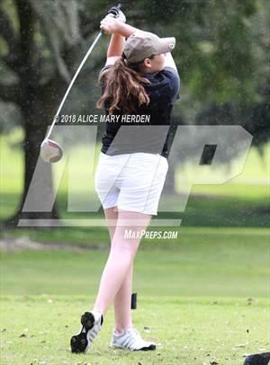 Hernando vs Springstead vs Citrus