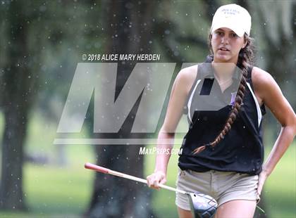 Thumbnail 1 in Hernando vs Springstead vs Citrus photogallery.