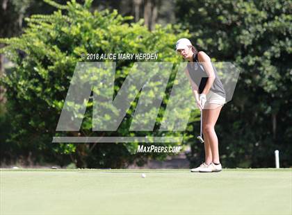 Thumbnail 3 in Hernando vs Springstead vs Citrus photogallery.