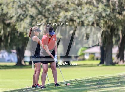 Thumbnail 2 in Hernando vs Springstead vs Citrus photogallery.