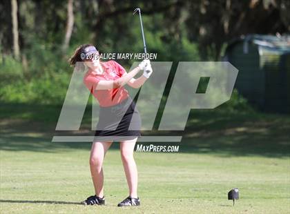 Thumbnail 1 in Hernando vs Springstead vs Citrus photogallery.
