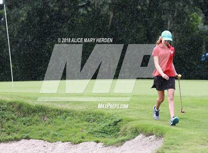 Thumbnail 1 in Hernando vs Springstead vs Citrus photogallery.