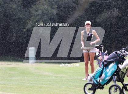 Thumbnail 1 in Hernando vs Springstead vs Citrus photogallery.