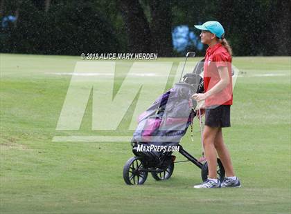 Thumbnail 2 in Hernando vs Springstead vs Citrus photogallery.