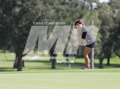 Thumbnail 2 in Hernando vs Springstead vs Citrus photogallery.