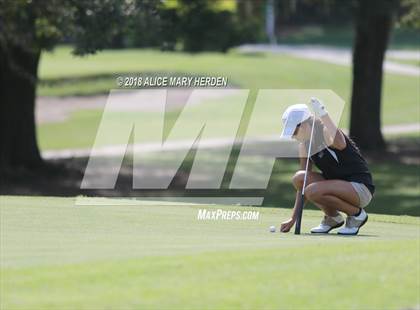 Thumbnail 2 in Hernando vs Springstead vs Citrus photogallery.