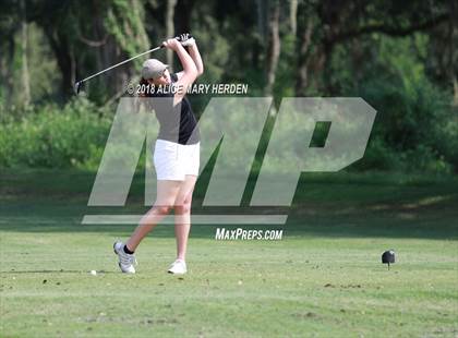 Thumbnail 1 in Hernando vs Springstead vs Citrus photogallery.
