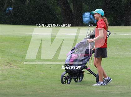 Thumbnail 3 in Hernando vs Springstead vs Citrus photogallery.