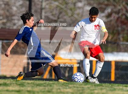 Thumbnail 1 in Hylton @ Gar-Field photogallery.