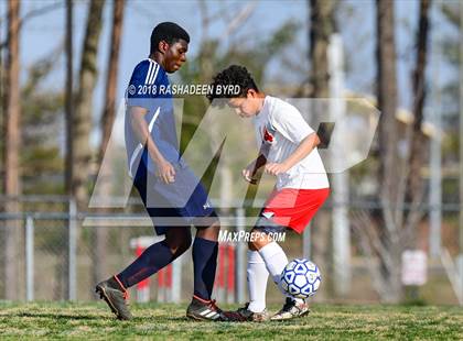 Thumbnail 1 in Hylton @ Gar-Field photogallery.