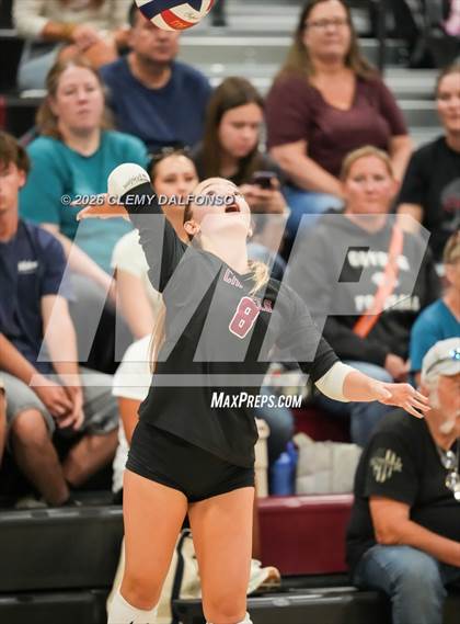 Thumbnail 2 in JV: Columbine @ Chatfield photogallery.
