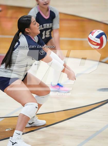 Thumbnail 1 in JV: Columbine @ Chatfield photogallery.
