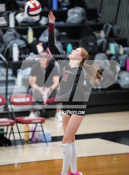Thumbnail 3 in JV: Columbine @ Chatfield photogallery.