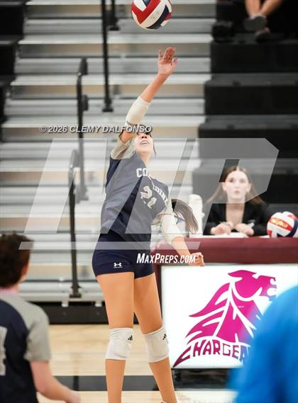 Thumbnail 2 in JV: Columbine @ Chatfield photogallery.