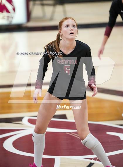 Thumbnail 3 in JV: Columbine @ Chatfield photogallery.
