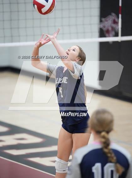 Thumbnail 1 in JV: Columbine @ Chatfield photogallery.