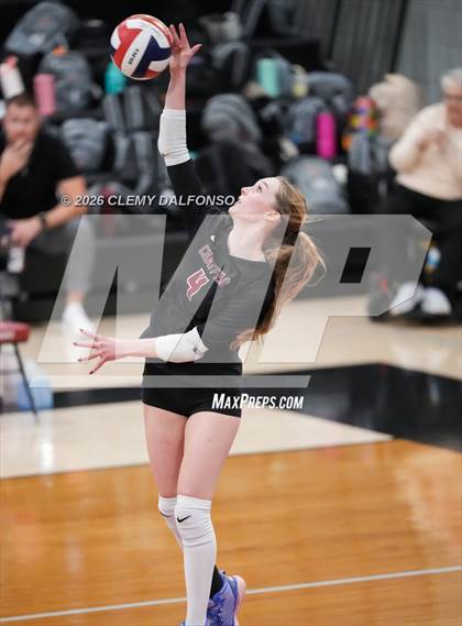 Thumbnail 2 in JV: Columbine @ Chatfield photogallery.