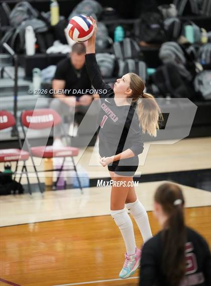 Thumbnail 3 in JV: Columbine @ Chatfield photogallery.