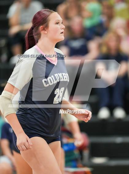 Thumbnail 1 in JV: Columbine @ Chatfield photogallery.