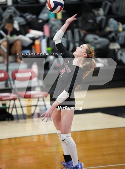Thumbnail 2 in JV: Columbine @ Chatfield photogallery.