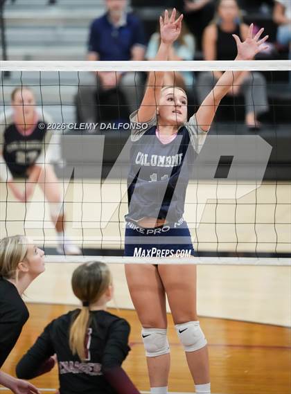 Thumbnail 3 in JV: Columbine @ Chatfield photogallery.