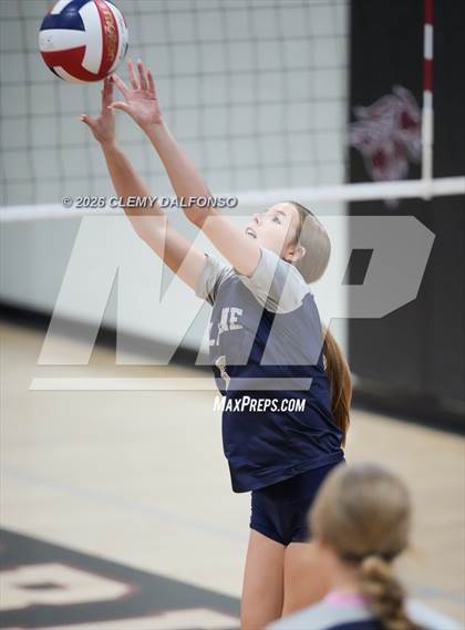 Thumbnail 3 in JV: Columbine @ Chatfield photogallery.
