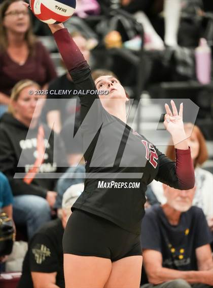 Thumbnail 1 in JV: Columbine @ Chatfield photogallery.