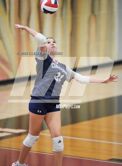 Thumbnail 1 in JV: Columbine @ Chatfield photogallery.