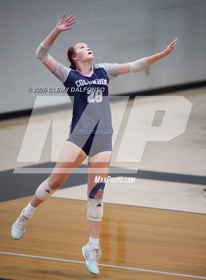 Thumbnail 3 in JV: Columbine @ Chatfield photogallery.
