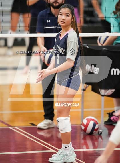Thumbnail 1 in JV: Columbine @ Chatfield photogallery.