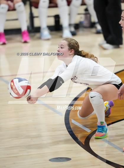 Thumbnail 3 in JV: Columbine @ Chatfield photogallery.
