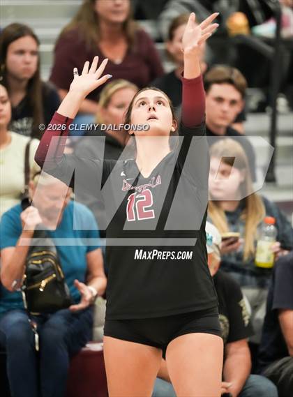 Thumbnail 2 in JV: Columbine @ Chatfield photogallery.