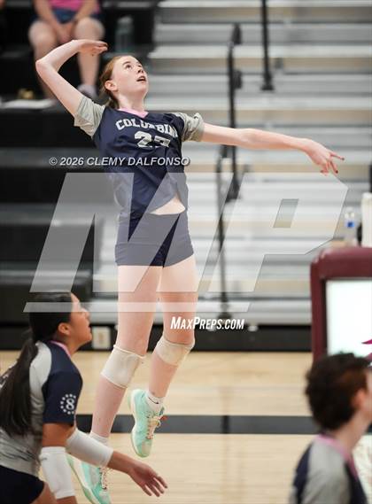 Thumbnail 2 in JV: Columbine @ Chatfield photogallery.