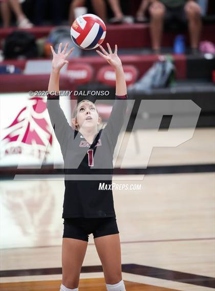 Thumbnail 2 in JV: Columbine @ Chatfield photogallery.