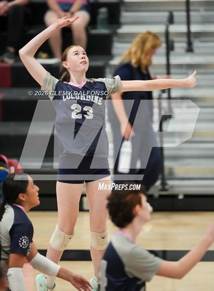 Thumbnail 3 in JV: Columbine @ Chatfield photogallery.
