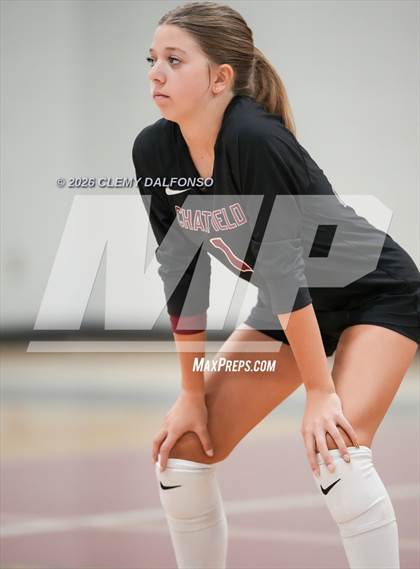 Thumbnail 1 in JV: Columbine @ Chatfield photogallery.