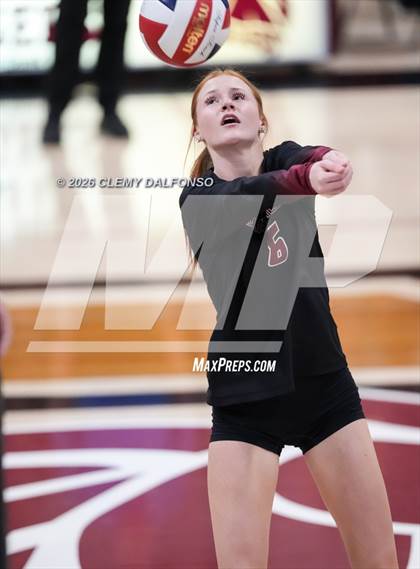 Thumbnail 3 in JV: Columbine @ Chatfield photogallery.