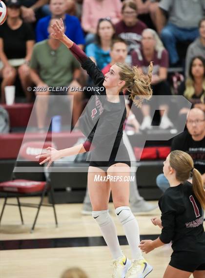 Thumbnail 2 in JV: Columbine @ Chatfield photogallery.