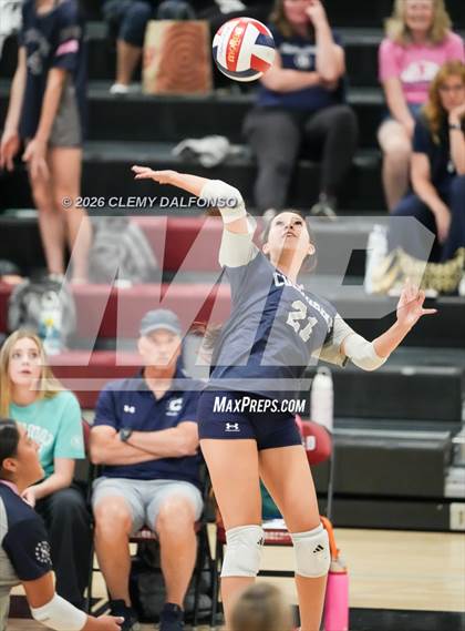 Thumbnail 2 in JV: Columbine @ Chatfield photogallery.