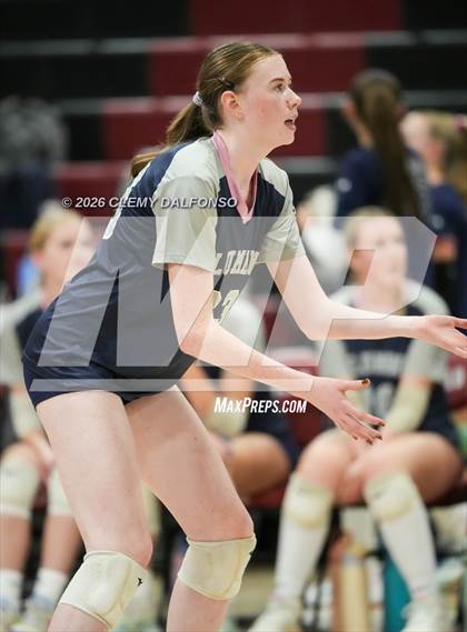 Thumbnail 3 in JV: Columbine @ Chatfield photogallery.