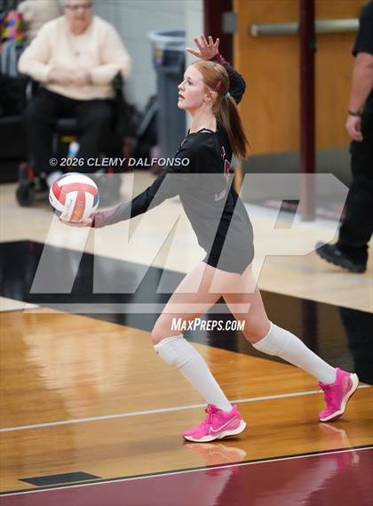 Thumbnail 3 in JV: Columbine @ Chatfield photogallery.