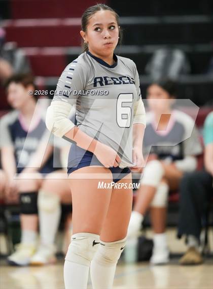 Thumbnail 3 in JV: Columbine @ Chatfield photogallery.