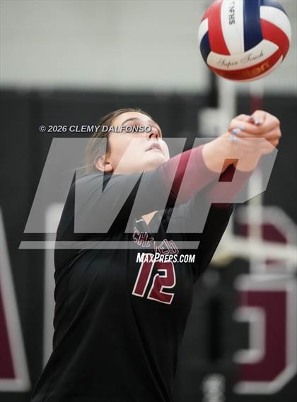 Thumbnail 3 in JV: Columbine @ Chatfield photogallery.