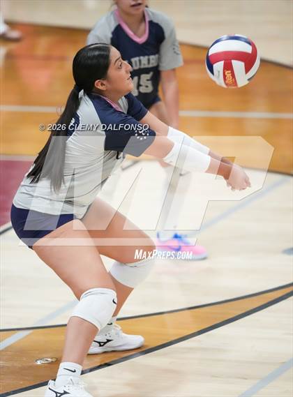 Thumbnail 3 in JV: Columbine @ Chatfield photogallery.
